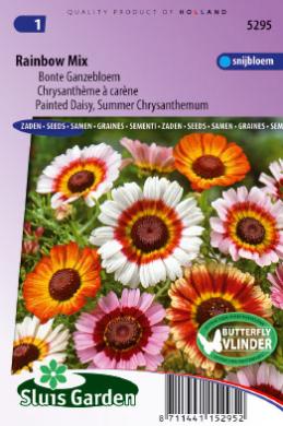 Ganzebloem Rainbow Mix (Chrysanthemum) 250 zaden SL