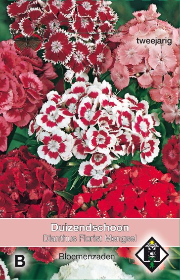 Duizendschoon Florist Mix (Dianthus barbatus) 650 zaden