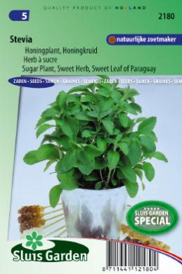 Honingkruid (Stevia rebaudiana) 20 zaden SL