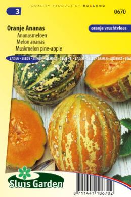 Zuckermelone Oranje Ananas (Cucumis melo) 9 seeds SL