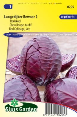Cabbage Langedijk (Brassica oleracea) 275 seeds SL