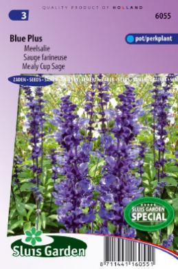 Meelsalie Blue Plus (Salvia farinacea) 100 zaden