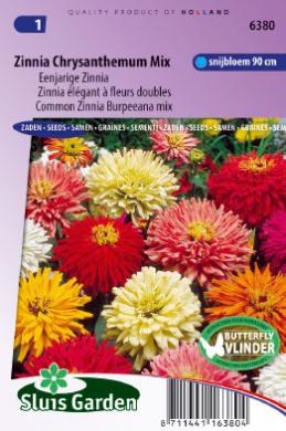 Zinnia elegans Chrysanthemum Mix - 100 seeds SL