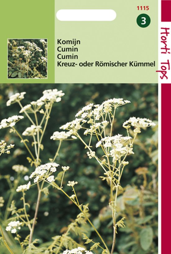 Komijn (Cuminum cyminum) 600 zaden