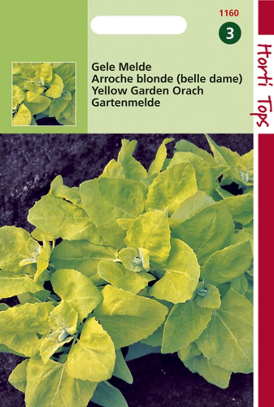 Gele melde (Atriplex hortensis) 300 zaden