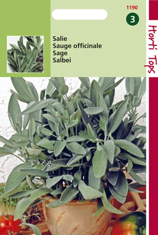 Salie (Salvia officinalis) 130 zaden