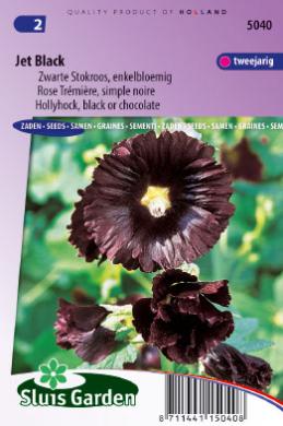 Stokroos Nigra Jet Black (Alcea rosea) 55 zaden