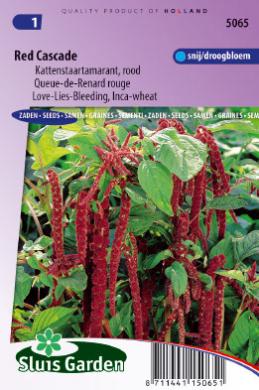 Kattenstaartamarant Red Cascade (Amaranthus) 1500 zaden