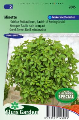 Basil Minette (Ocimum basilicun) 300 seeds