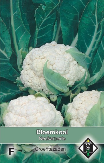 Bloemkool Neckarperle (Brassica) 100 zaden