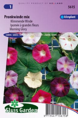Morning glory Mix (Ipomoea tricolor) 75 seeds SL