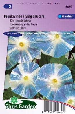 Morning Glory Flying Saucer (Ipomoea) 50 seeds