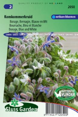 Komkommerkruid Blauw BIO (Borago officinalis) 35 zaden