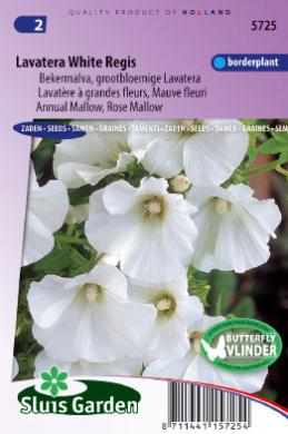 Annual mallow White Regis (Lavatera trimestris) 50 seeds