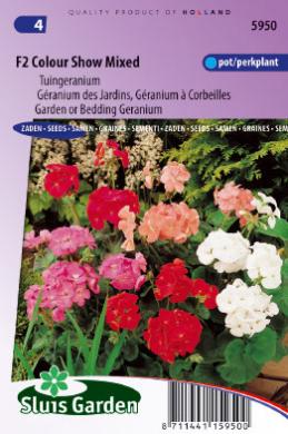 Geranium Colour Show Mix F2 (Pelargonium hortorum) 32 zaden