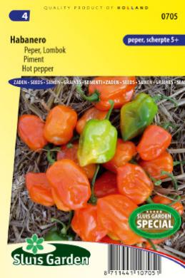 Habanero Peper Oranje (Capsicum chinense) 10 zaden SL