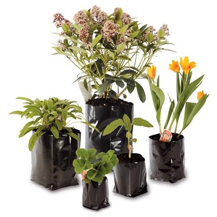 Plant bags, bag pots 1 litre 9x11.5cm  500 pieces 30.00