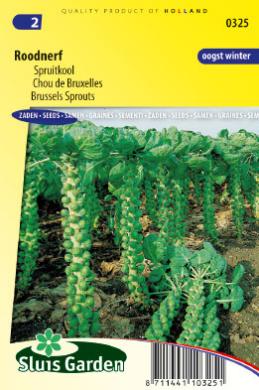 Spruitkool Roodnerf (Brassica oleracea) 275 zaden SL