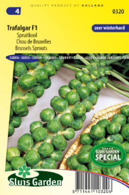 Spruitkool Trafalgar F1 (Brassica oleracea) 40 zaden