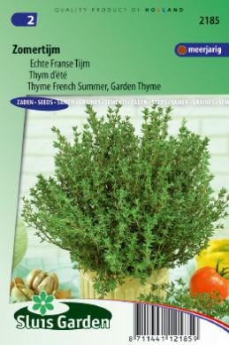 Thyme Summer, French Thyme (Thymus) 1000 seeds SL