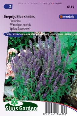 Ereprijs Blue Shades (Veronica spicata) 1000 zaden