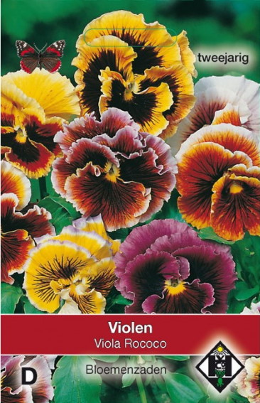 Pansy Rococo (Viola Wittrockiana)